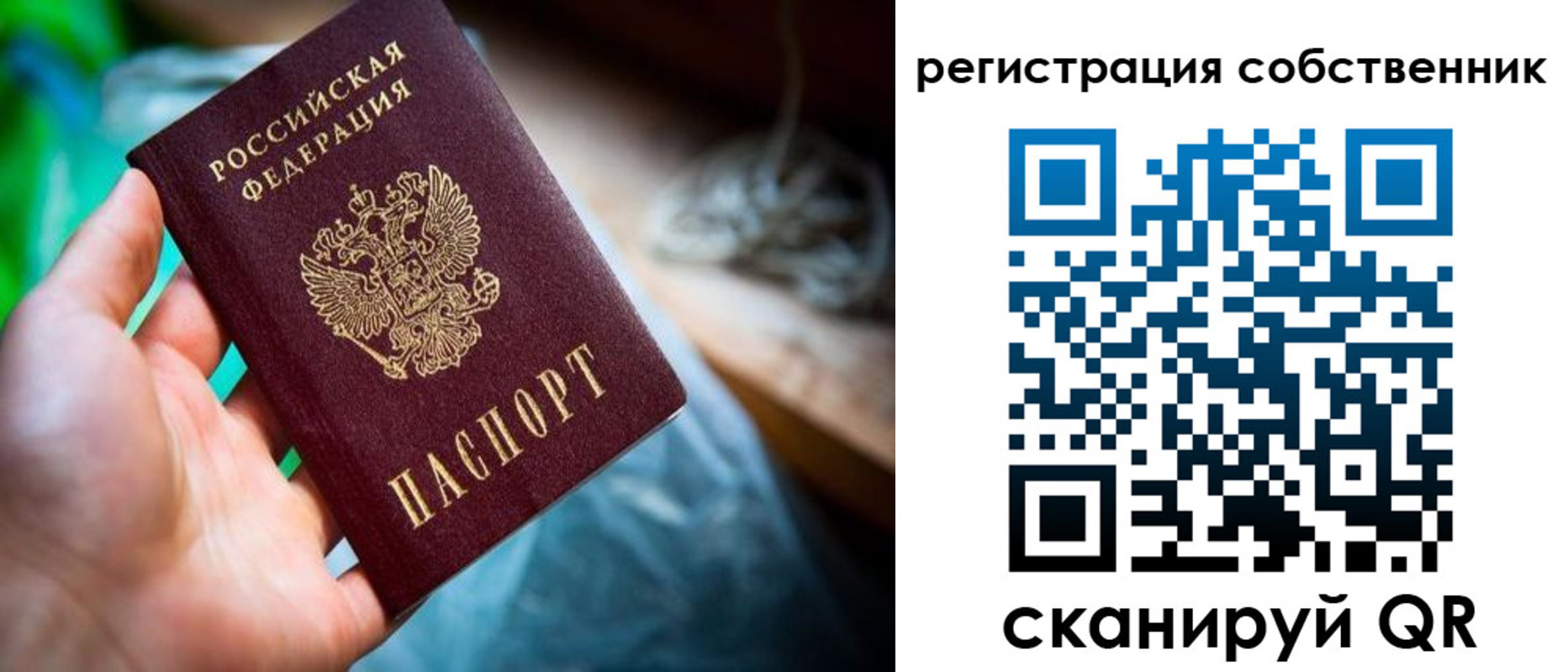прописка гарантия в Щучье